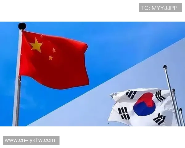 中国与韩国文化交流的宣传画展现两国友好关系与艺术魅力