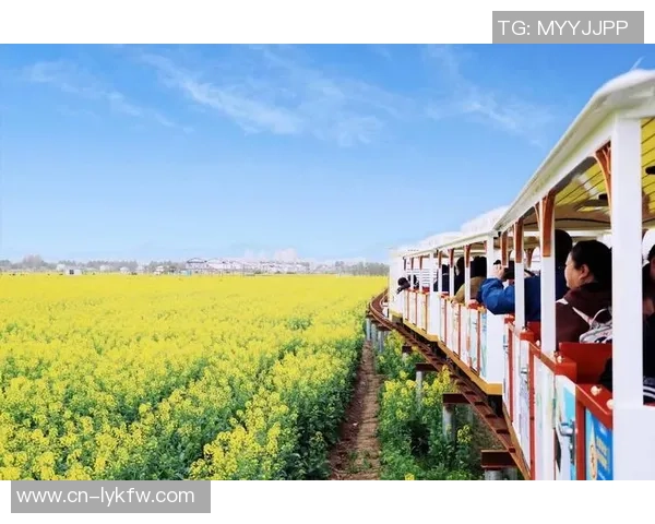 布莱克尼的魅力探秘：历史文化与自然风光的完美交融之旅