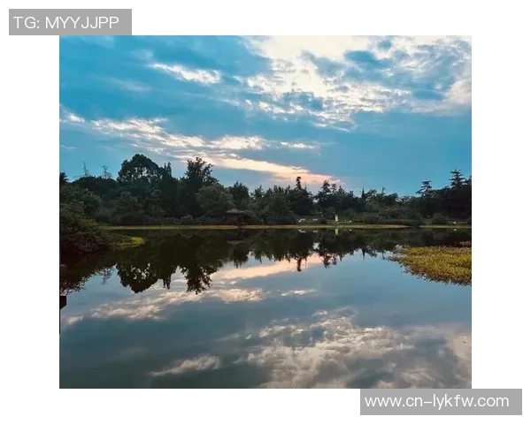鸟栖沙岩与清风拂面之间的自然和谐与人文交融探讨
