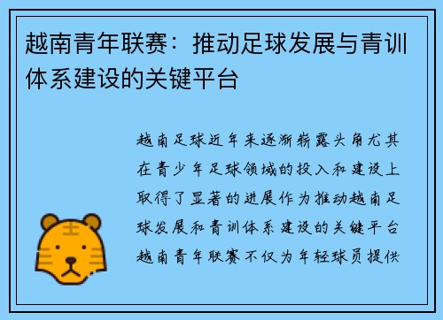 越南青年联赛：推动足球发展与青训体系建设的关键平台