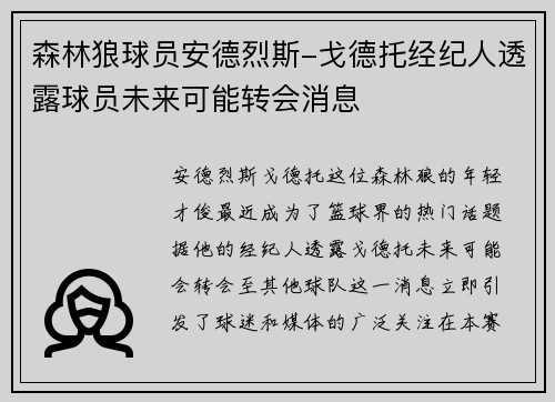 森林狼球员安德烈斯-戈德托经纪人透露球员未来可能转会消息
